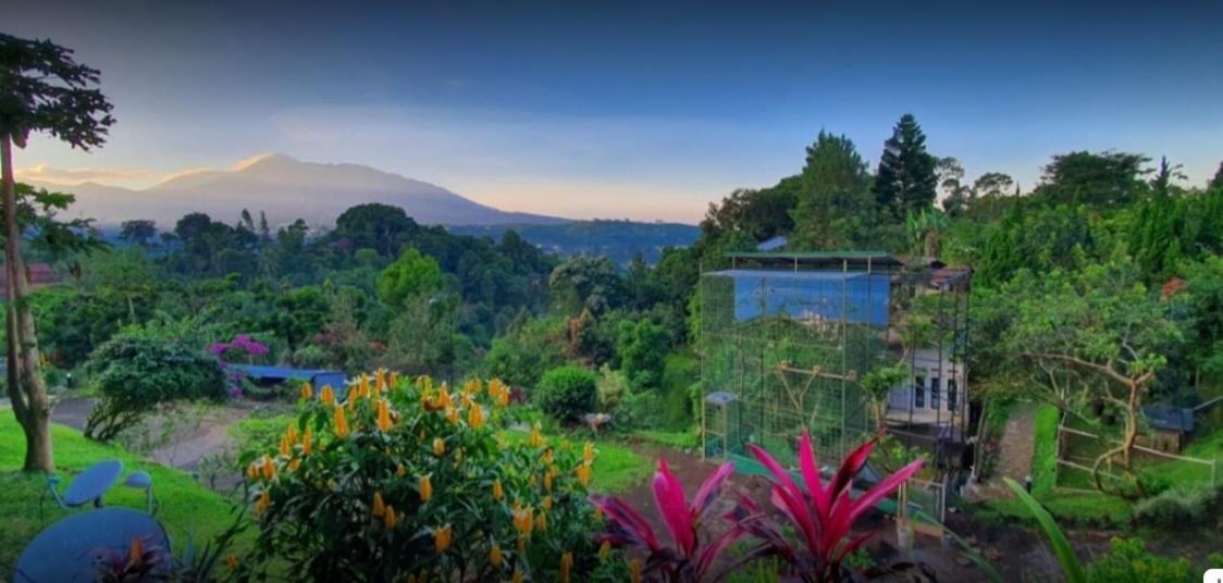Villa Chacha at Macarena, Megamendung Luaran gambar