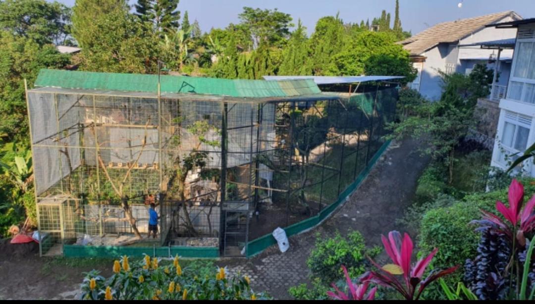 Villa Chacha at Macarena, Megamendung Luaran gambar